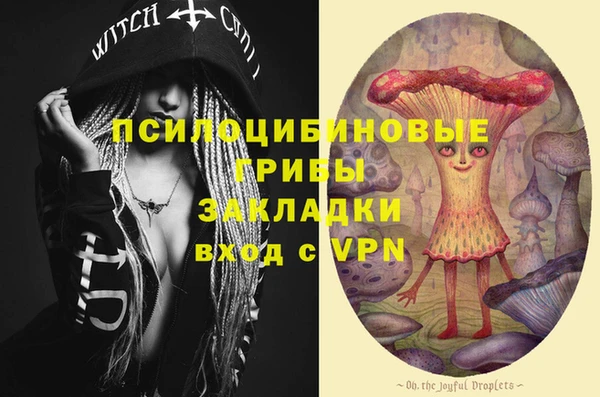 тгк Всеволожск