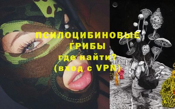 ешки Новозыбков