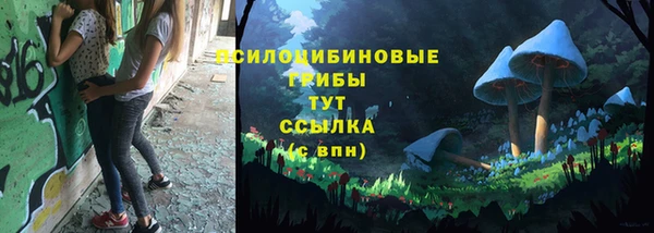 ешки Новозыбков