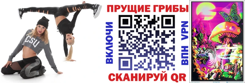 Псилоцибиновые грибы Cubensis  даркнет как зайти  Углегорск 